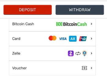 Bovada payment options